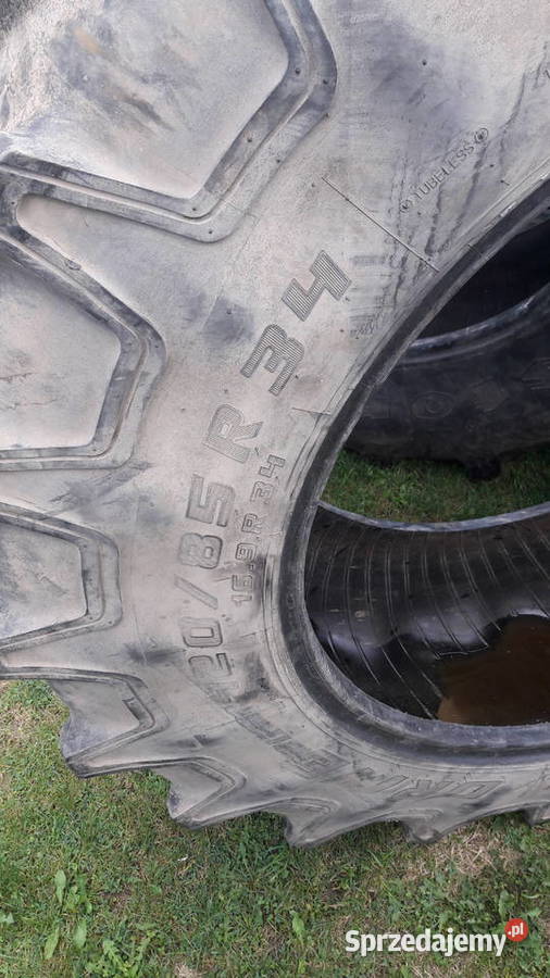 Opona 42085 R34 169 r 34 mitas