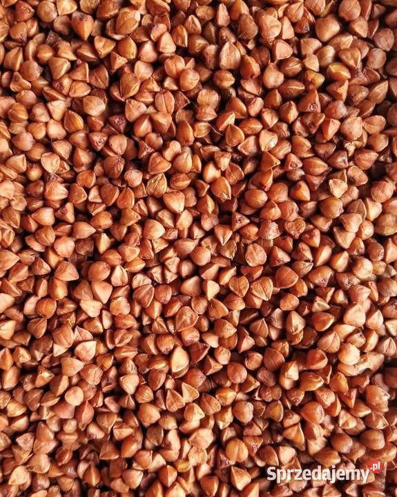 kasza gryczana Łódź