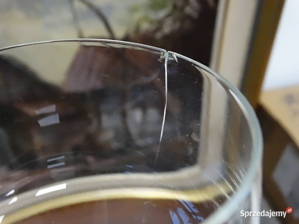 Kieliszki Do Wina Rmer Roemer Vintage Zwiesel