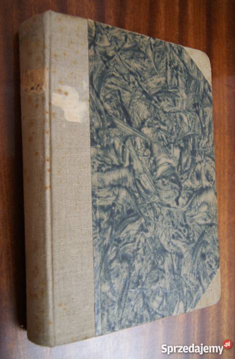 Dymitr Furmanow Czapajew 1949 literatura piękna - proza zagraniczna lubelskie Parczew sprzedam