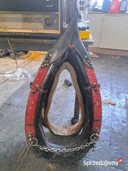 Homonta homonto opolskie Kluczbork sprzedam