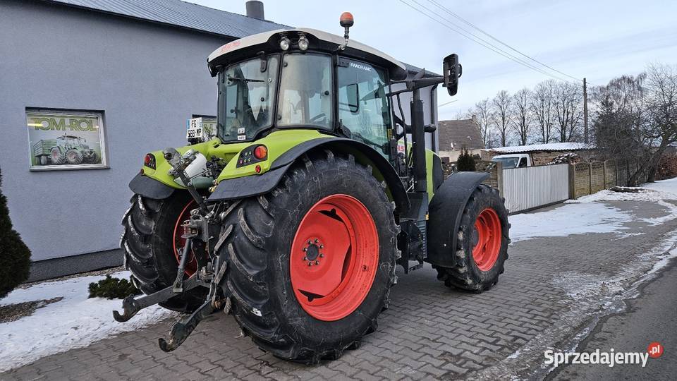 Claas Arion 440 2019r Pneumatyka Ciągniki Gruntowice