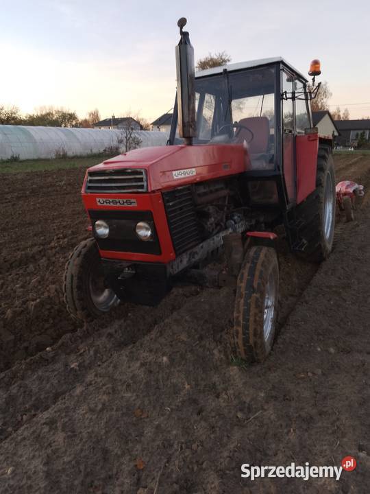 Sprzedam ursusa 1201 zarejestrowany Szczytniki