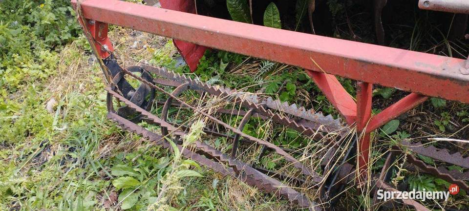 Talerzówka Strumyk 28m nieuszkodzony Pozostałe łódzkie Łęki Szlacheckie