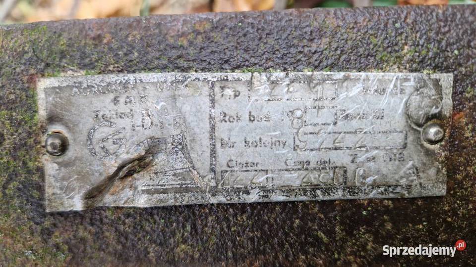 Brona polowa 2 Unia Grudziądz Białoskóry