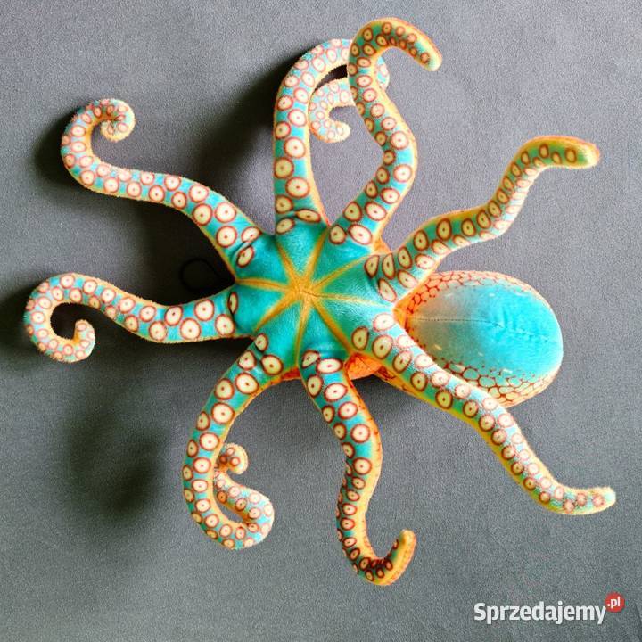 Kraken duża maskotka Ząbki