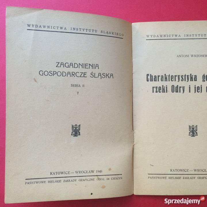 Charakterystyka geograficzna rzeki Odry i jej Antyki, Sztuka, Kolekcje Szczecin