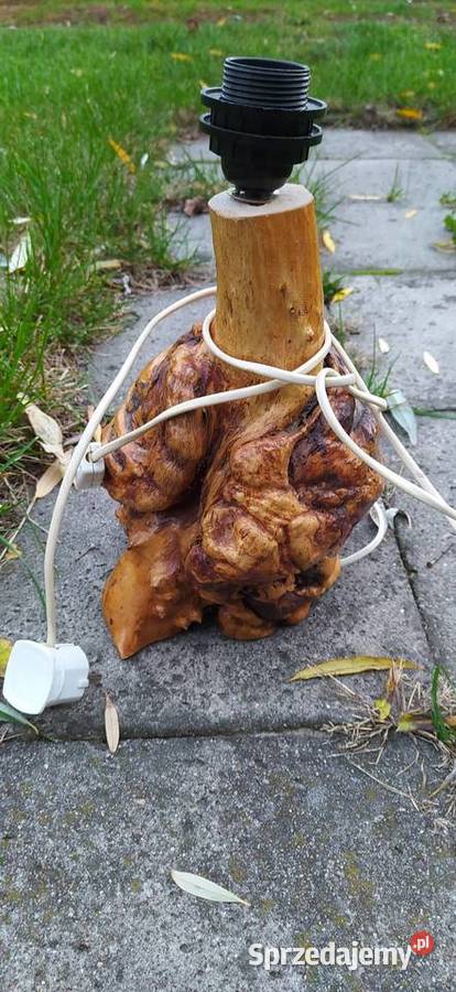 Lampa z korzenia Słupca sprzedam