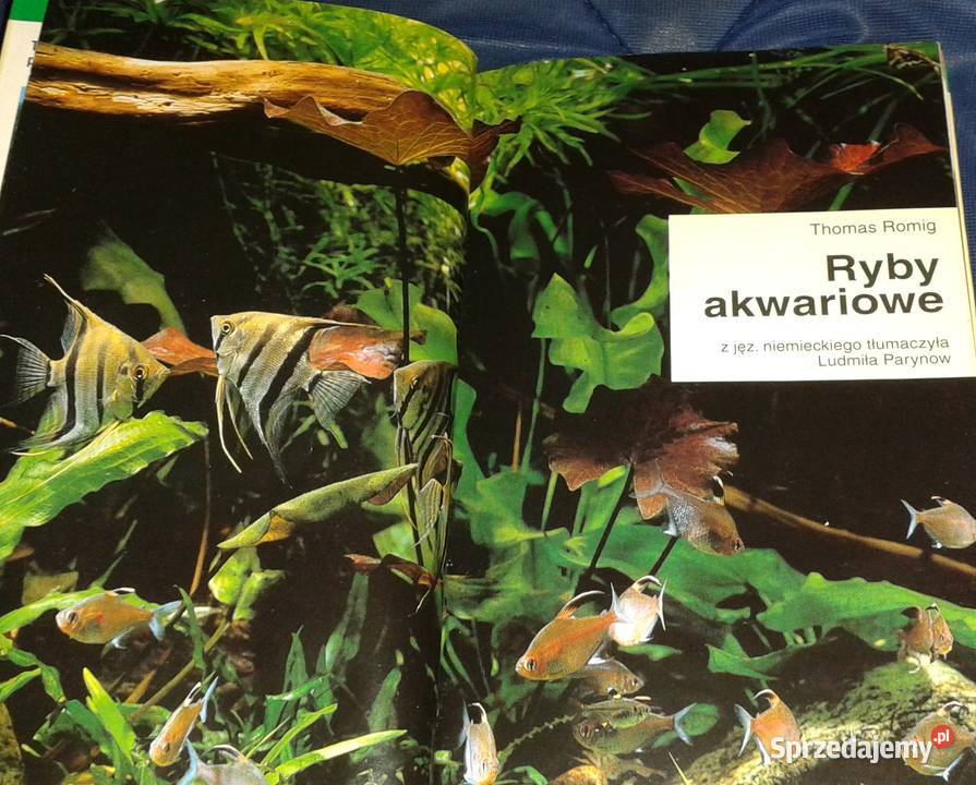 Ryby akwariowe Rozpoznawanie i utrzymanie Thomas Książki i Podręczniki Chełm