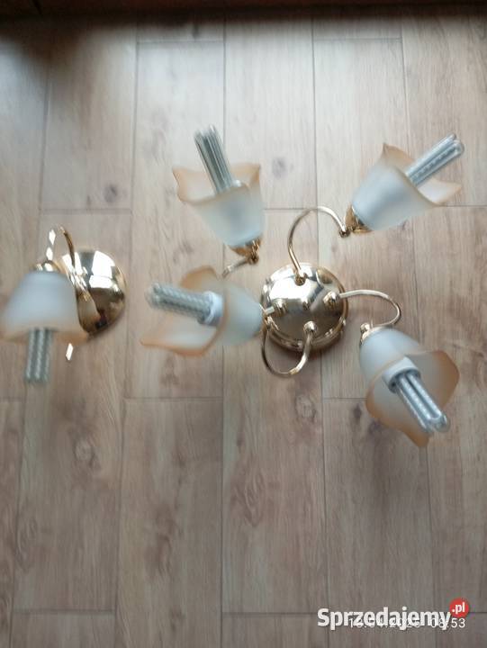Żyrandol i kinkiet Lampy wiszące Ciekoty