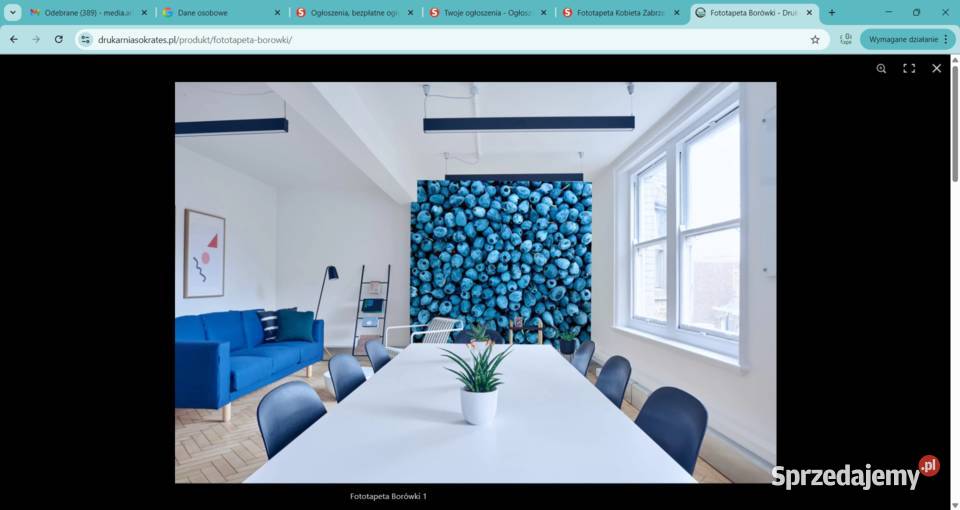 Fototapeta Borówki Zabrze