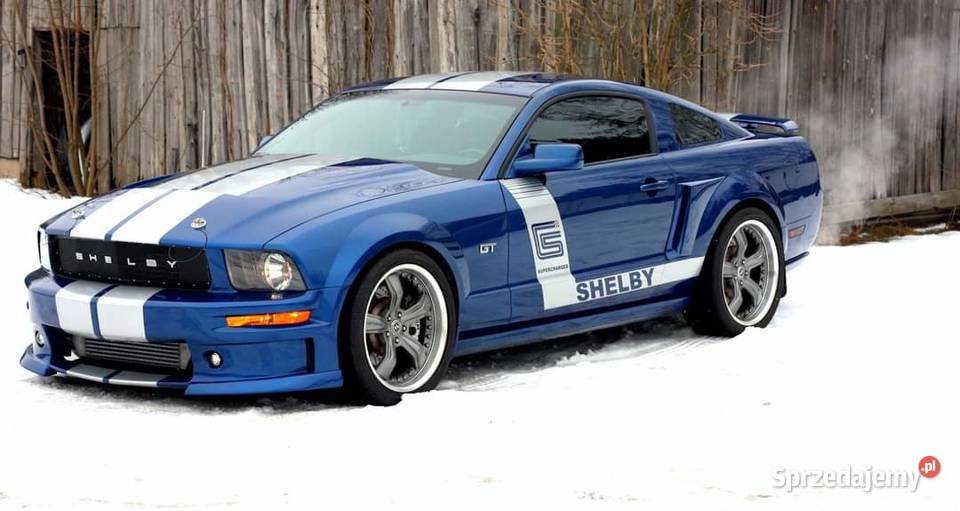 SHELBY CS8 PROTOTYPE unikat w Bełchatów