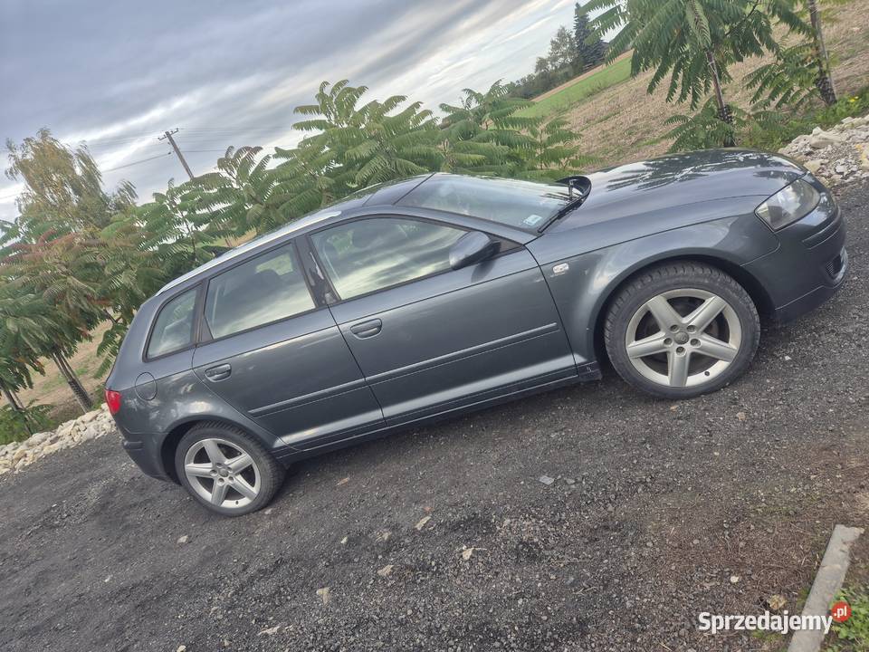 Sprzedam Audi A3 8P lubelskie Izbica