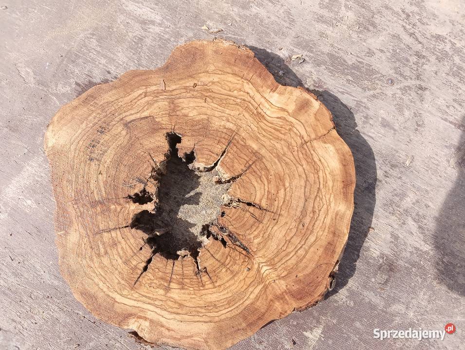 Oliwka plastry sezonowane podkarpackie Mielec