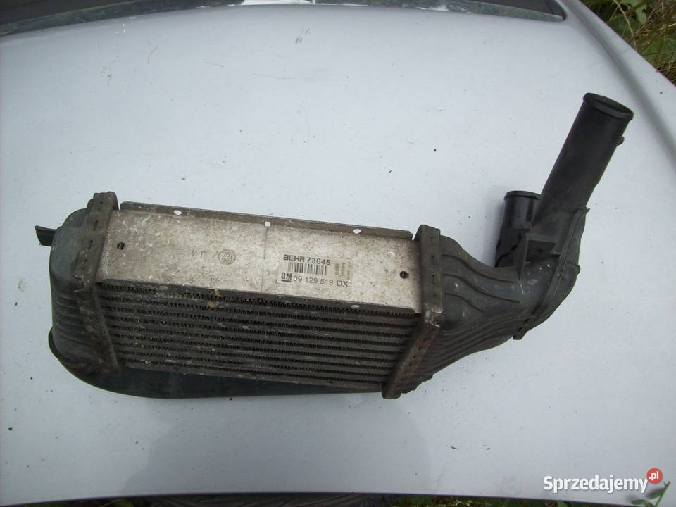 Astra II G 17 DTI Intercooler BEHR 09129519DX Mińsk Mazowiecki sprzedam