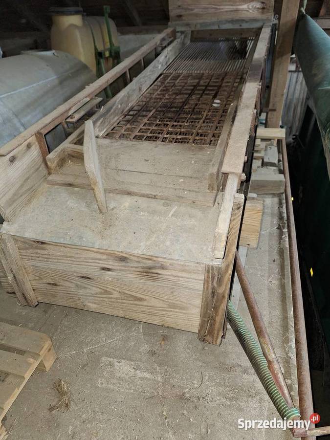 Sortownik do ziemniaków kartofli wielkopolskie Słupca