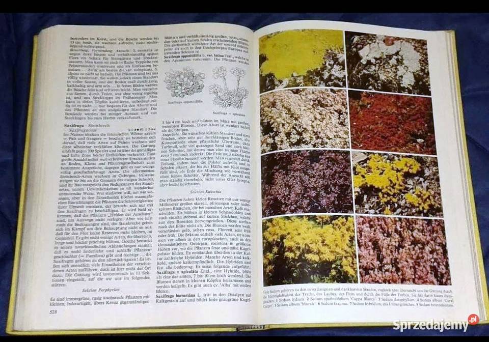Gartenblumen von A bis Z Christian Grunert Rok wydania 1972 Chełm