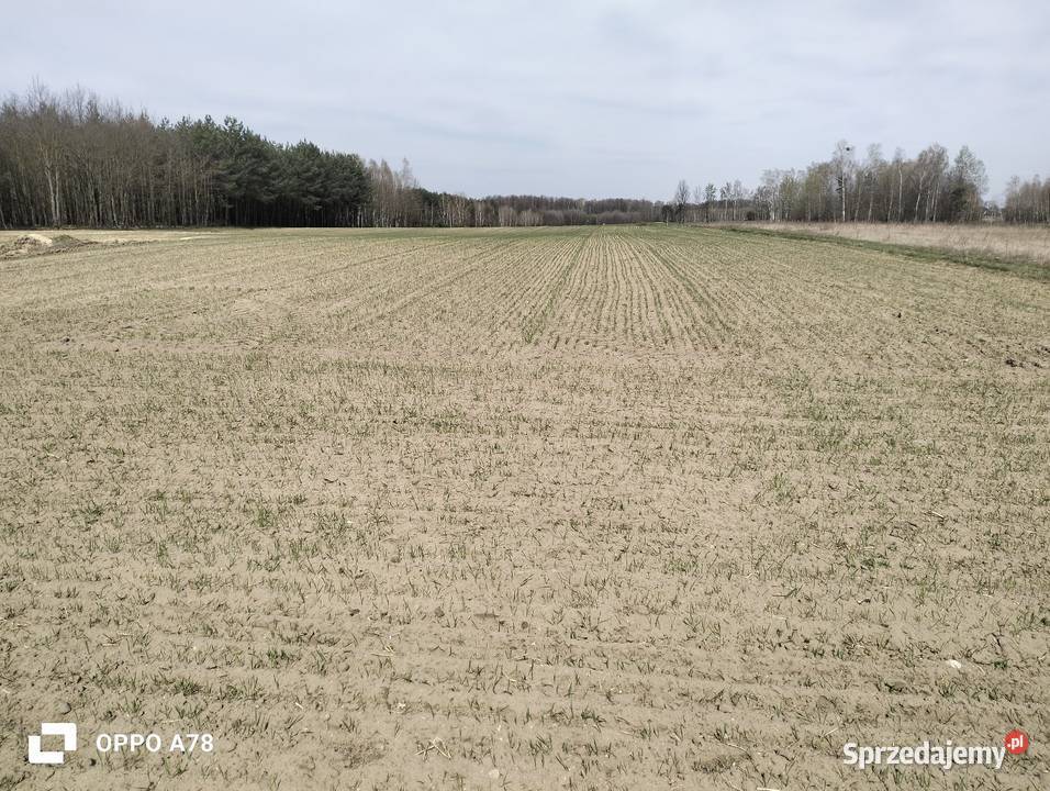 Sprzedam siewnik zbożowy talerzowy 3m agro masz mazowieckie Skaryszew