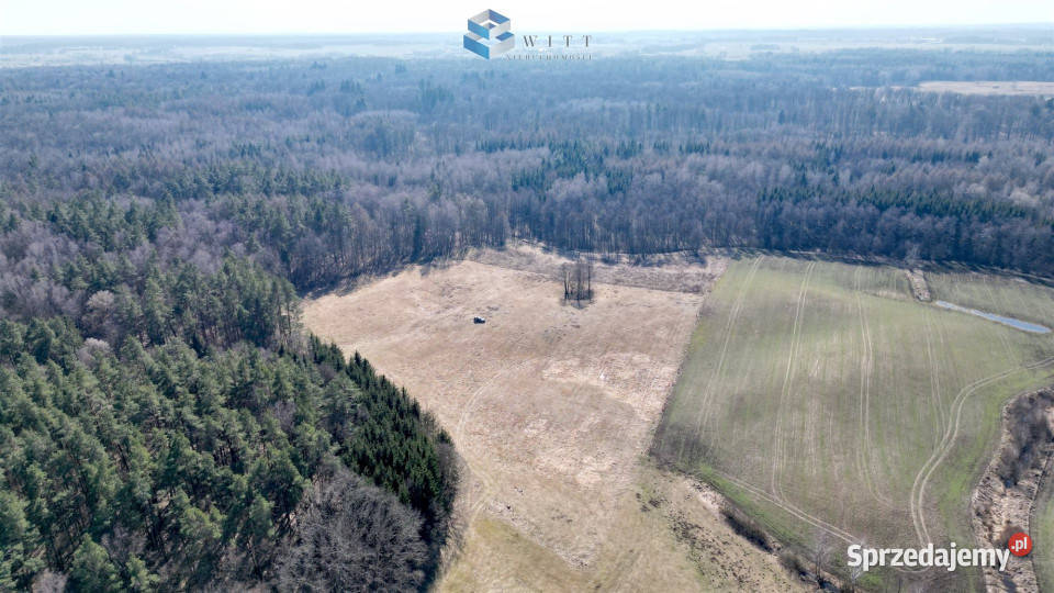 Grunt 7979m2 Jędrychówko