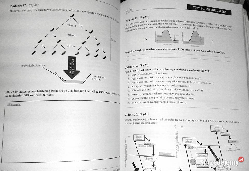 Testy Matura Biologia Sebastian Grabowski lubelskie Chełm sprzedam