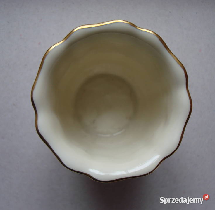 Wykałacznik Rosenthale Regina mazowieckie Warszawa