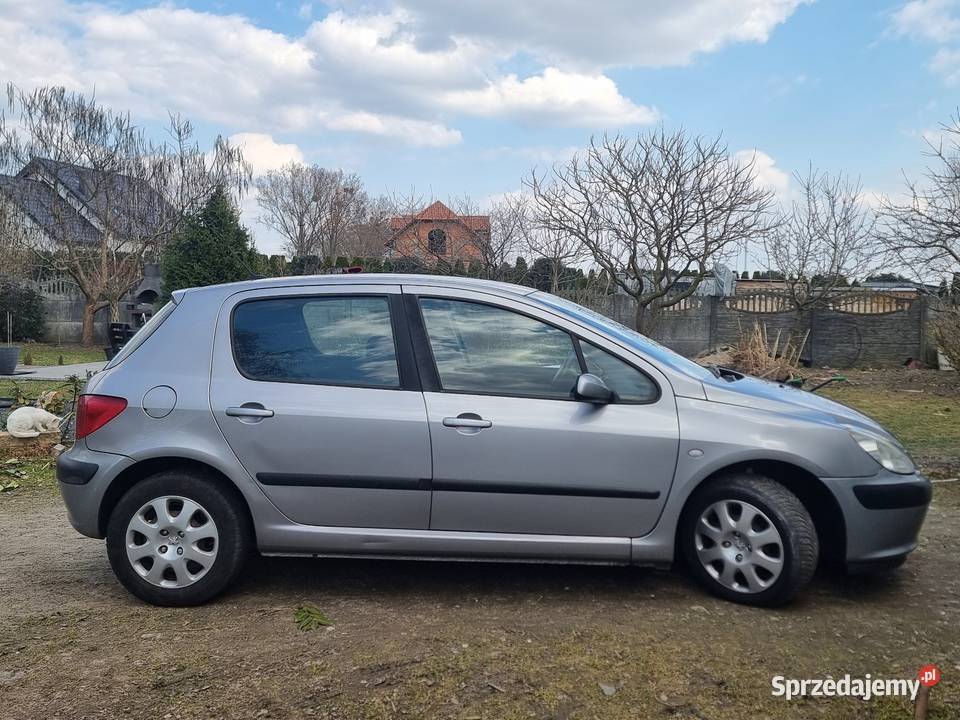 Peugeot 307 Dębno