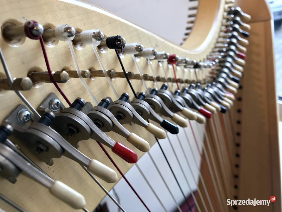 RESONANCE HARPS St Petersburg HARFA haczykowa Warszawa