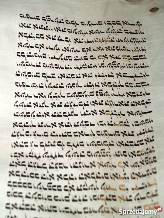 Dziewiętnastowieczna tora na pergaminie Tarnów