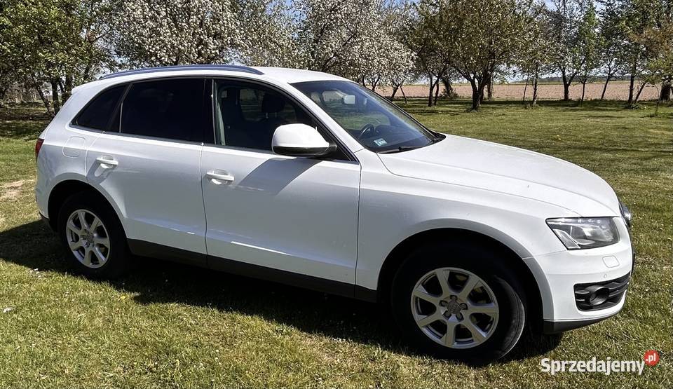 Audi q5 quattro tdi 20 manual podkarpackie Lubaczów