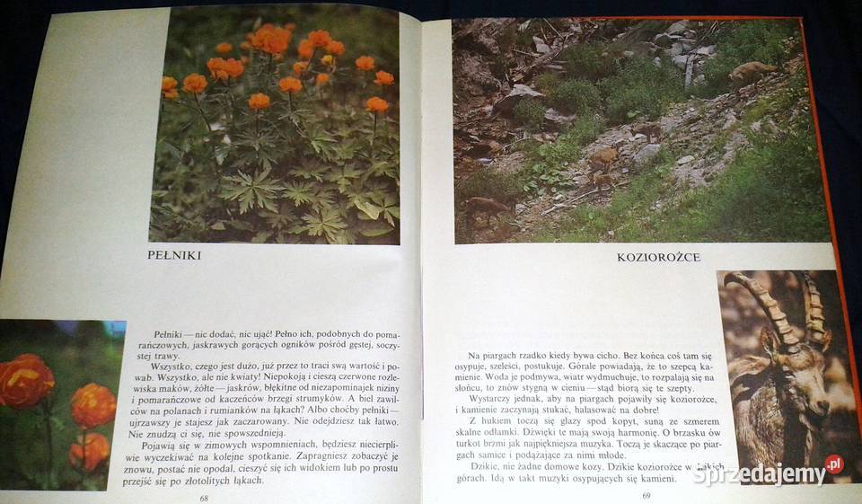 Świat tęczy Nikołaj Sładkow