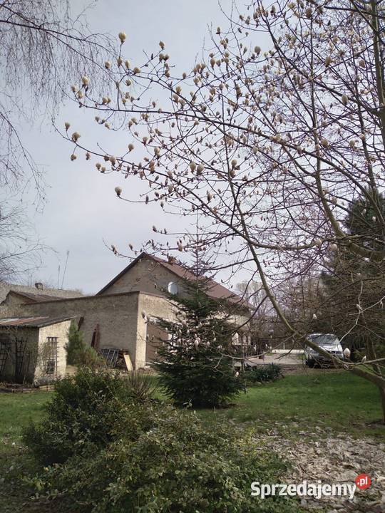 Sprzedam dom z garażem w nowej wsi głubczyckiej blacha