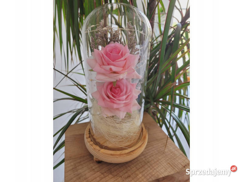 Wieczna róża w szkle LED dzika świecąca sztuczna Pozostałe Mikołów