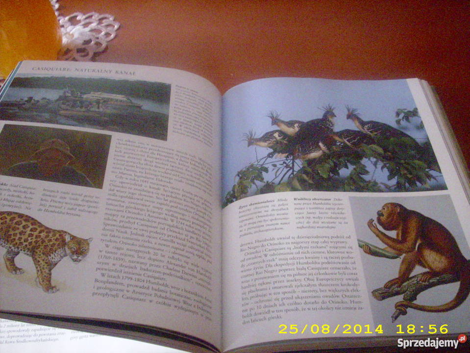Niezwykłe miejsca niezwykłe krainy Readers Diges sprzedam