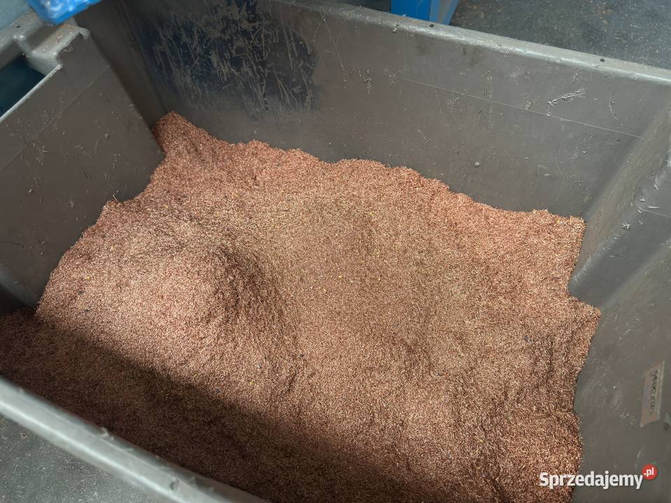 Granulator kabli RECYKLING kabli miedzianych Chojnice