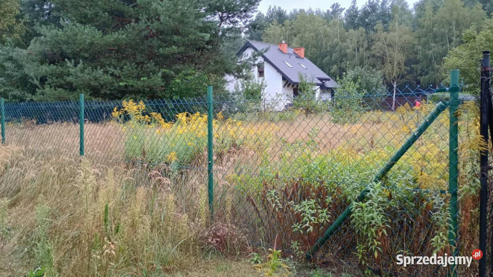 Działka budowlana Rosanów gmina Zgierz Wesoła Sprzedaż sprzedam