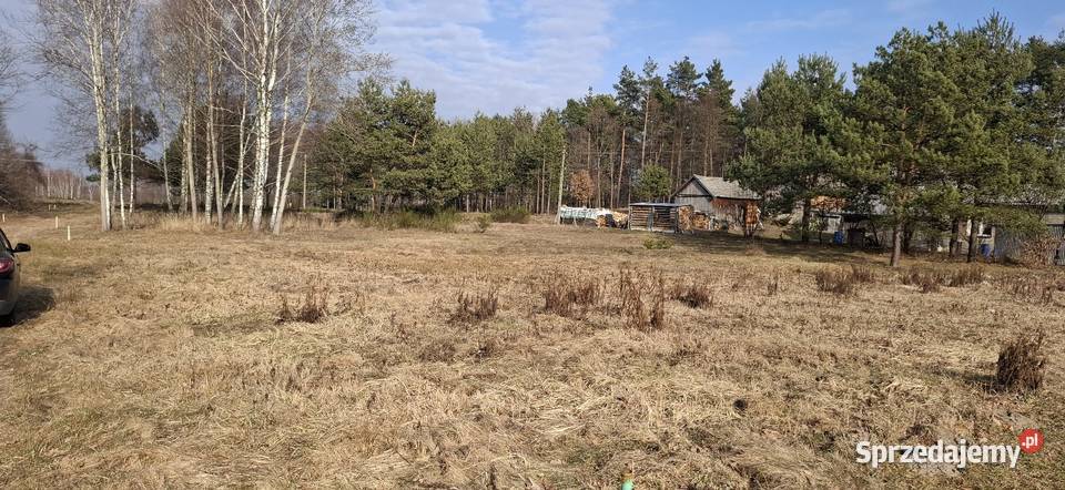 działka budowlana 14ar Huta Przedborska