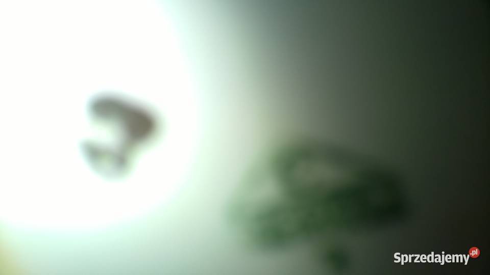 wazon porcelany chodziez małopolskie Kraków