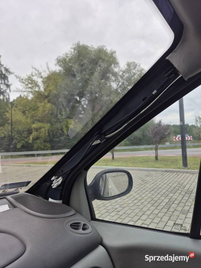 Sprzedam Renault Scenic Skopanie