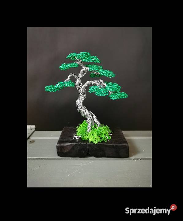 Zielone drzewko z chrobotkiem 13 dolnośląskie