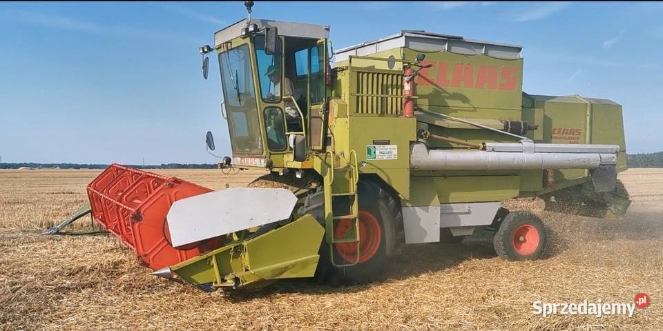 Kombajn zbożowy Claas Dominator 105 Bielany Wrocławskie