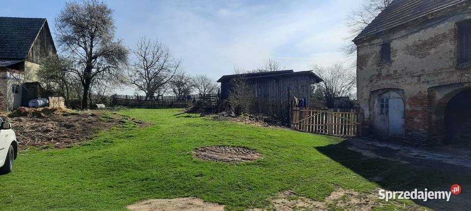 Sprzedam dom z sadem Krzelków