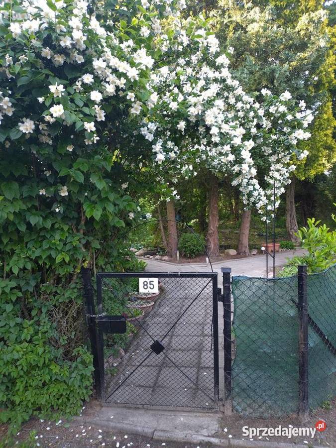 Furtka ogrodowa stalowa Poznań