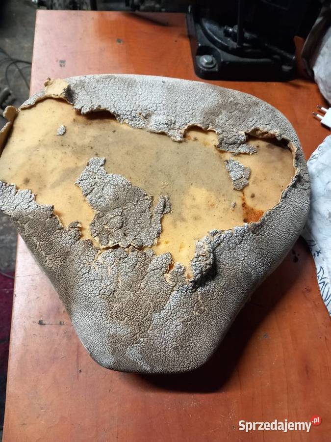 Siedzenie mz Szprotawa