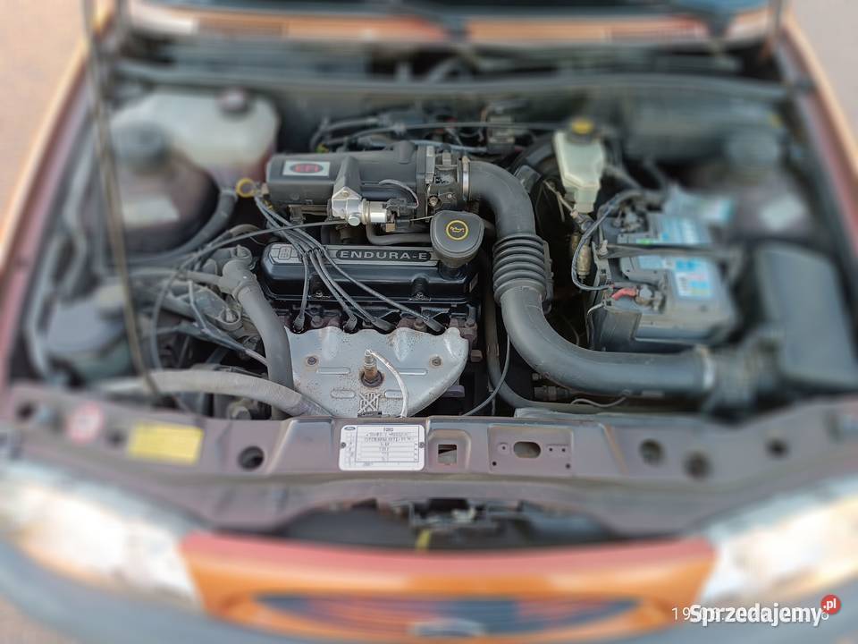 Ford Fiesta MK4 3d FUN 13 60kat klima nieuszkodzony Fiesta Radzyń Podlaski