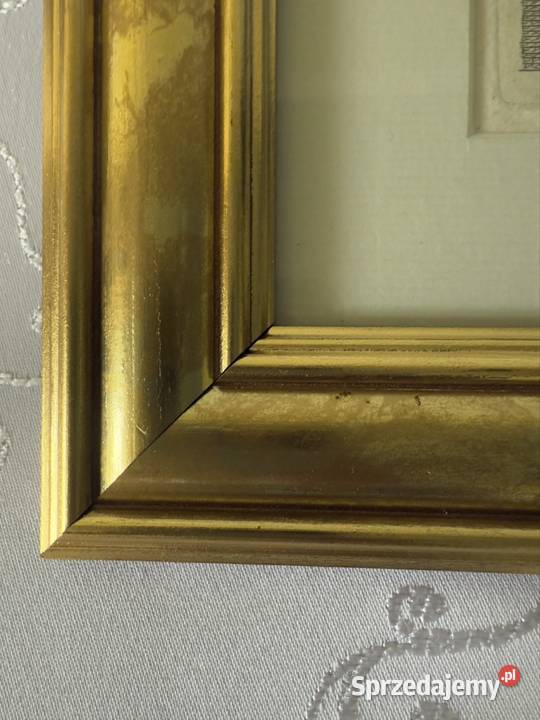 Antyczny Miedzioryt Rycina Grafika Eusebe Antyki Czerwionka-Leszczyny sprzedam