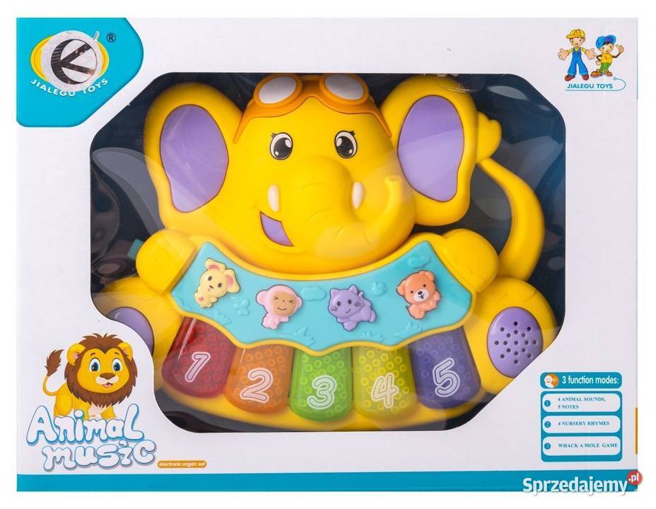 Mini organki słoń Poznań
