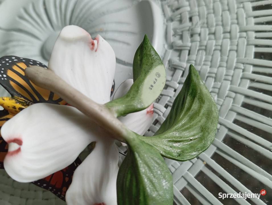 Porcelanowy motyl Franklin Zielona Góra