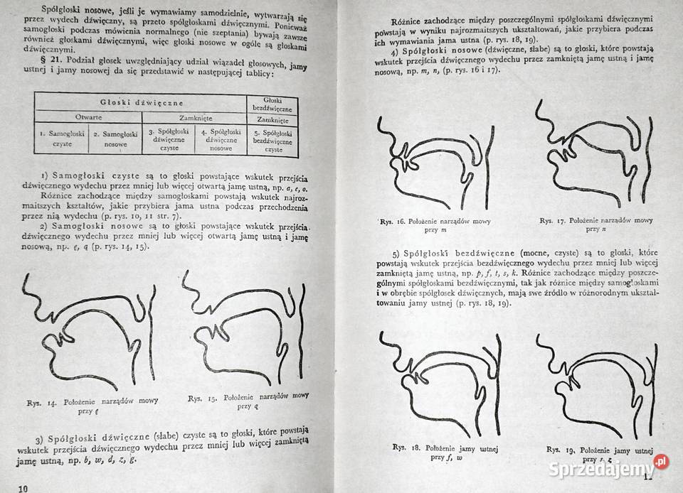 Gramatyka języka polskiego Stanisław Szober sprzedam