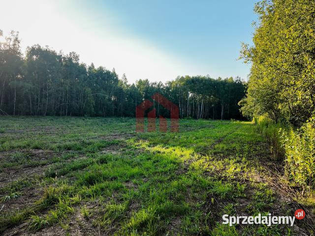 Działka 900m2 Czarna Sędziszowska Sprzedaż