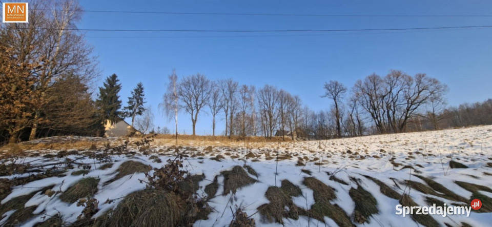 sprzedaży gruntu 1638m2 Krzywaczka